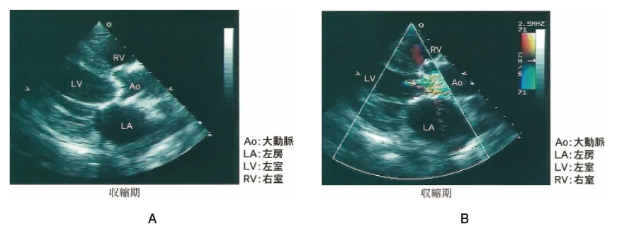 第102回 D問題 第24問の問題画像