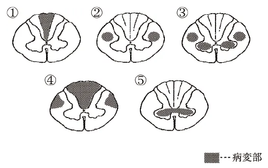 第103回 A問題 第53問の問題画像