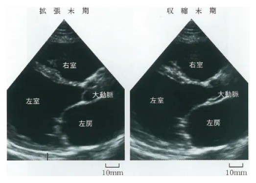 第103回 D問題 第40問の問題画像
