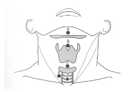 第104回 B問題 第6問の問題画像