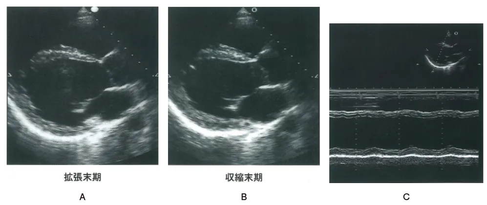 第105回 I問題 第74問の問題画像