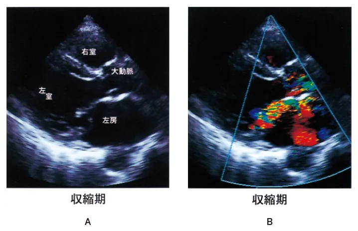 第106回 A問題 第24問の問題画像