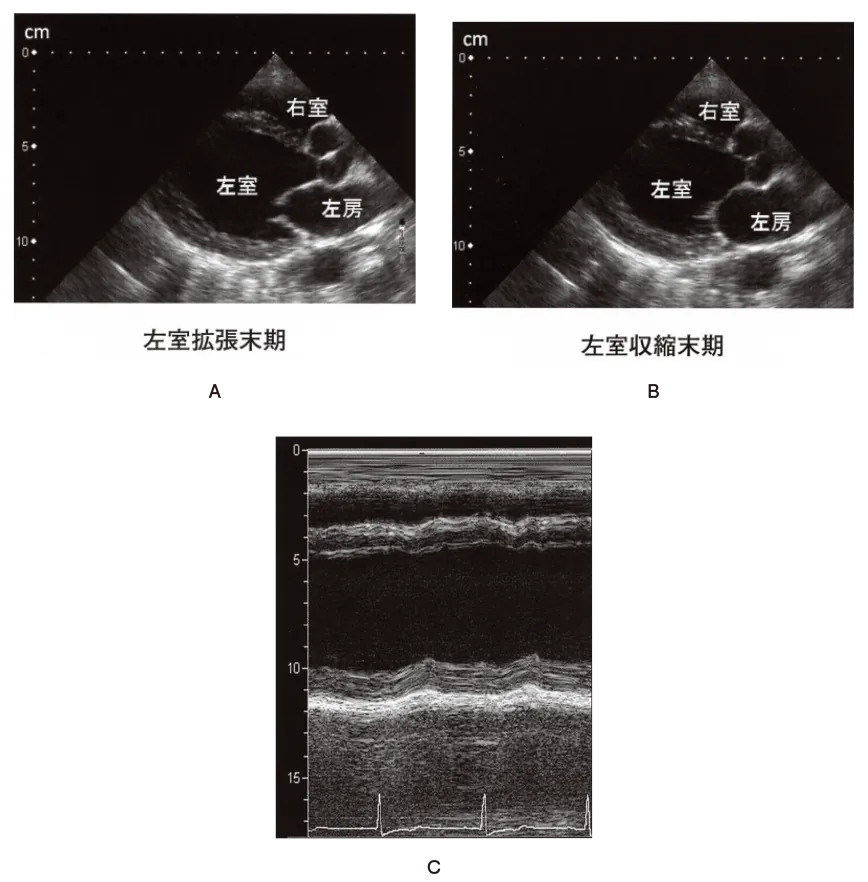 第106回 D問題 第59問の問題画像