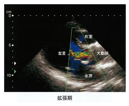 第106回 G問題 第46問の問題画像
