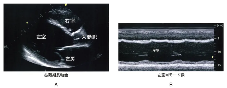 第110回 I問題 第50問の問題画像