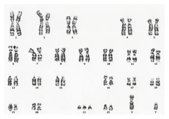 第116回 A問題 第51問の問題画像
