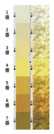 第116回 F問題 第6問の問題画像