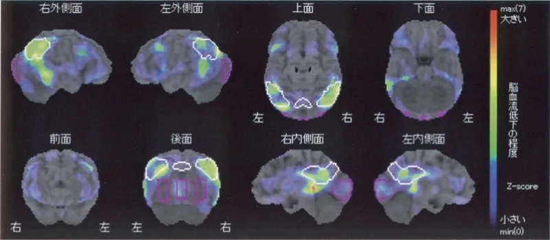 第117回 A問題 第49問の問題画像
