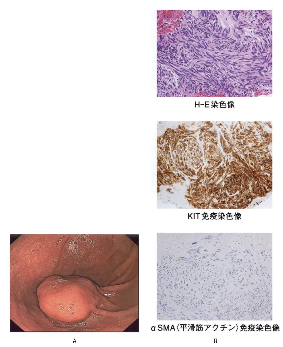第117回 A問題 第65問の問題画像