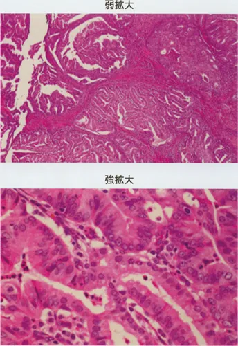 第120回 A問題 第69問の問題画像